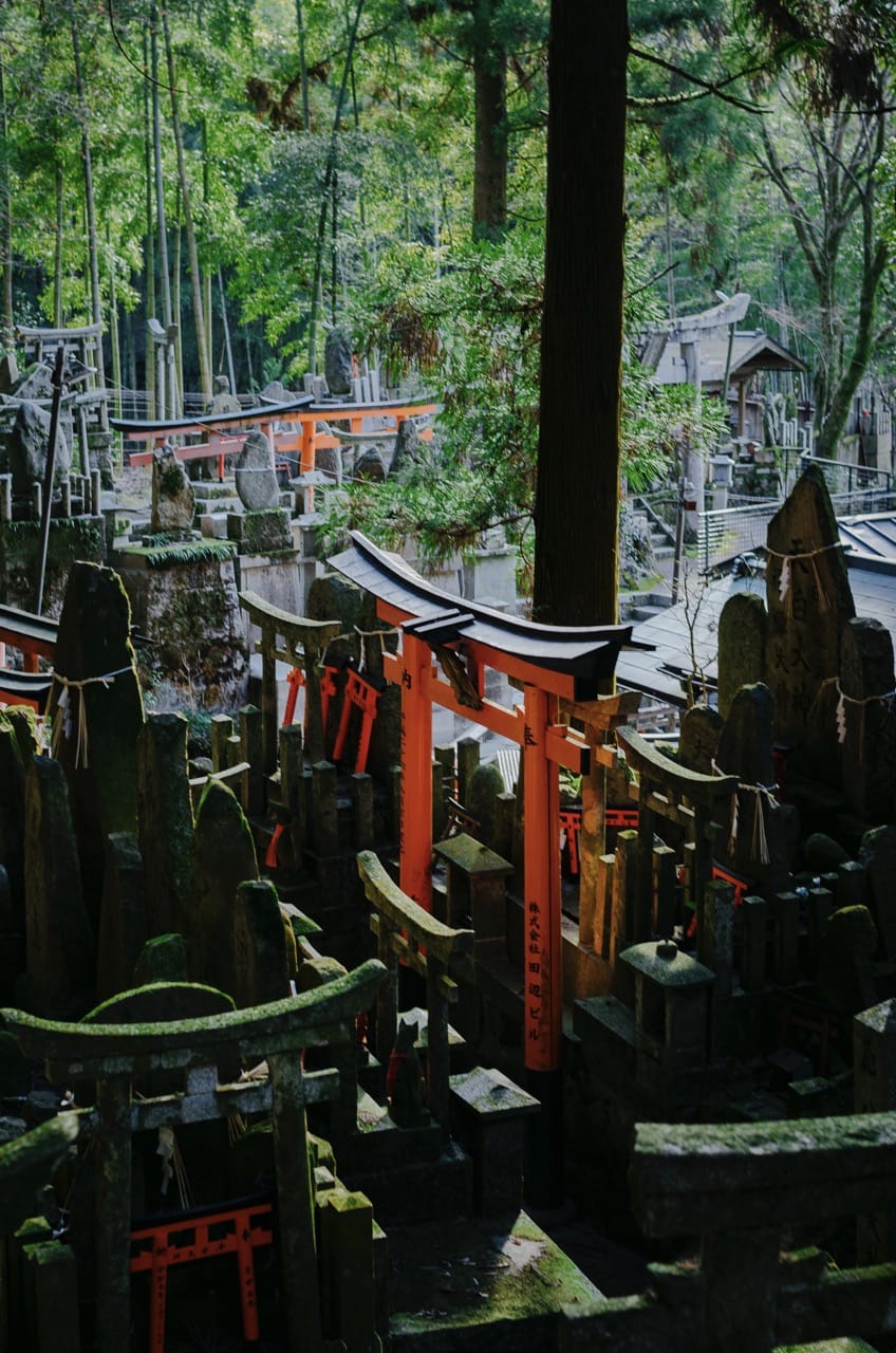 Превью Kyoto 2024